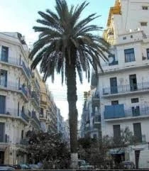 Vente Appartement F2 Alger Alger centre