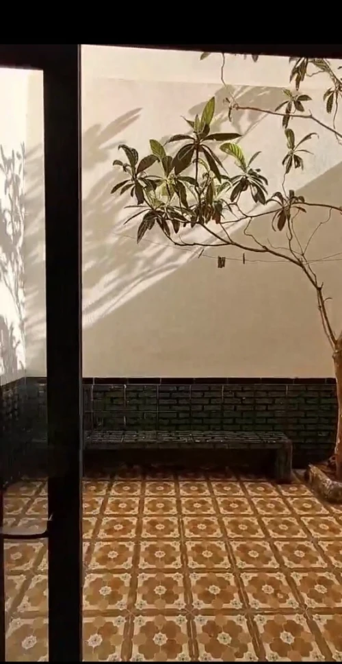 Vente Appartement Niveau de villa F3 Oran El ançor