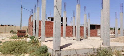 Vente Terrain Djelfa Ain oussara