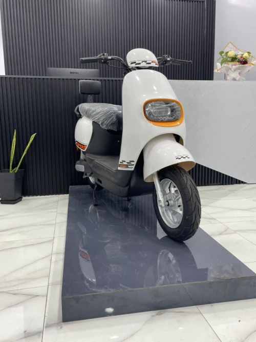 Dora speed 800w-60v 