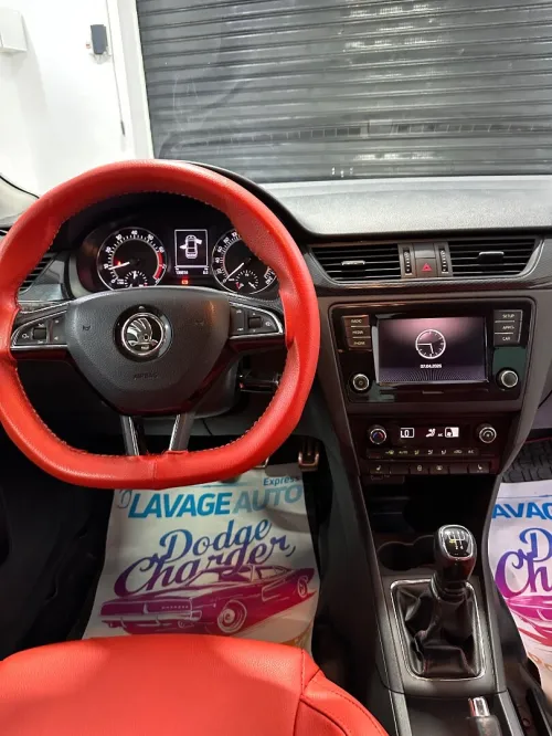 Skoda Rapid 2019 Monte carlo