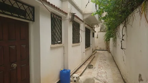Vente Villa Alger Hydra
