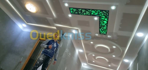  (تركيب الاسقف المعلقة( البلاكو بلاتر و ديمونطابل