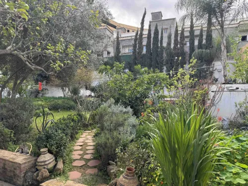 Location Villa Alger Birkhadem