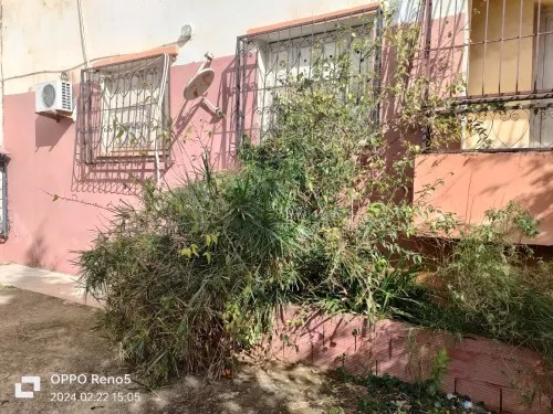 Location Appartement Alger Cheraga