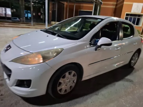 Peugeot 207 2012 Fennec