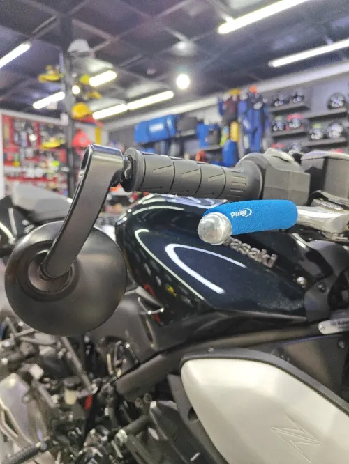 Kawasaki Z 900 2025