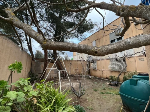 Vente Appartement Médéa Berrouaghia
