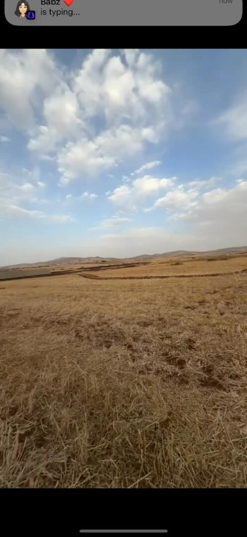 Vente Terrain Agricole Aïn Témouchent Hassasna 2