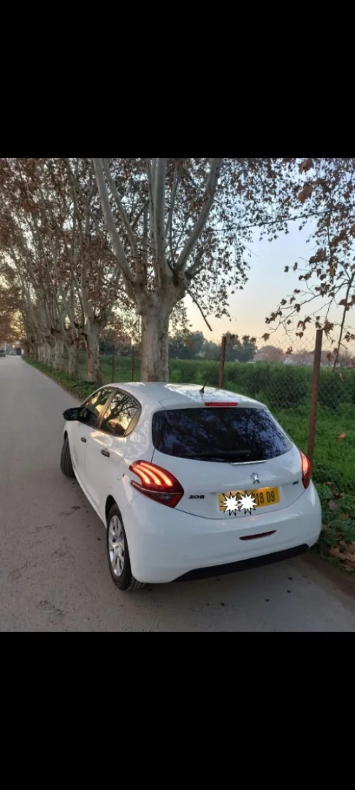 Peugeot 208 2018 Active Facelift