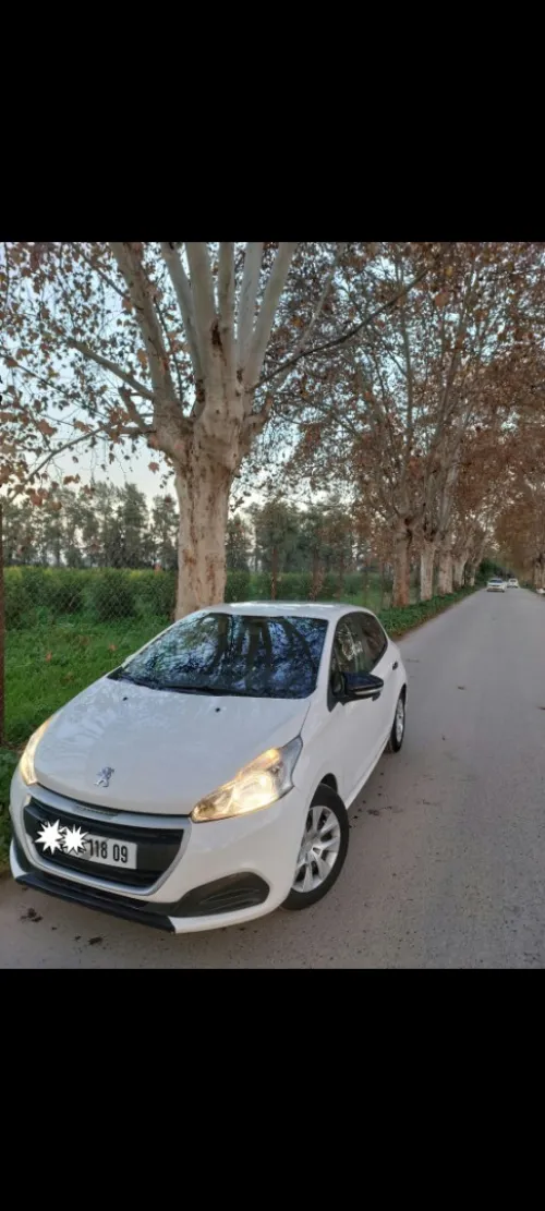Peugeot 208 2018 Active Facelift