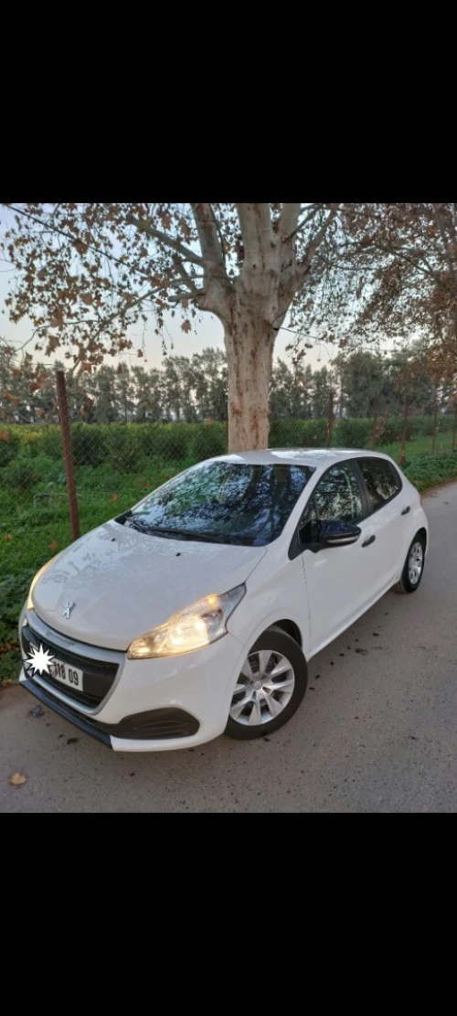 Peugeot 208 2018 Active Facelift