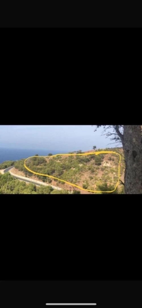 Vente Terrain Chlef Chlef