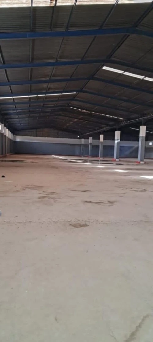 Location Hangar - Usine Oran Hassi bounif