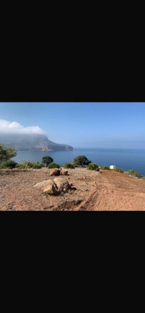 Vente Terrain Chlef Chlef
