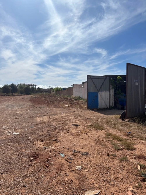 Location Terrain Oran Arzew