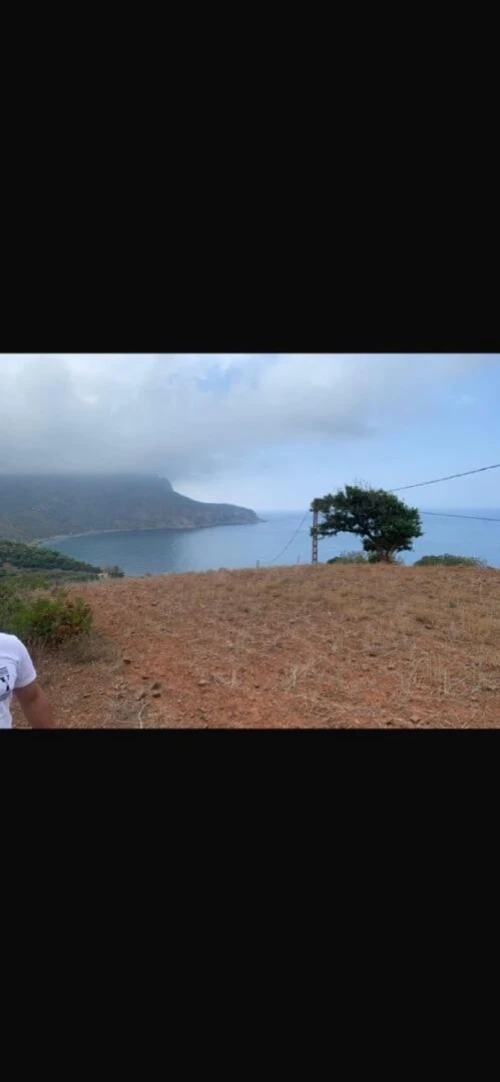 Vente Terrain Chlef Chlef