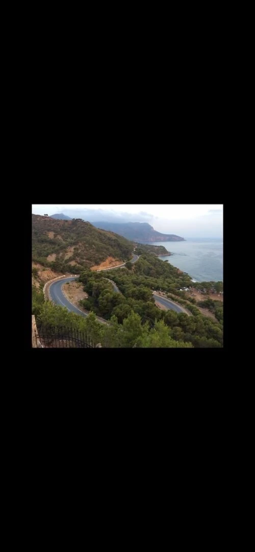 Vente Terrain Chlef Chlef