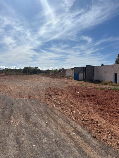 Location Terrain Oran Arzew