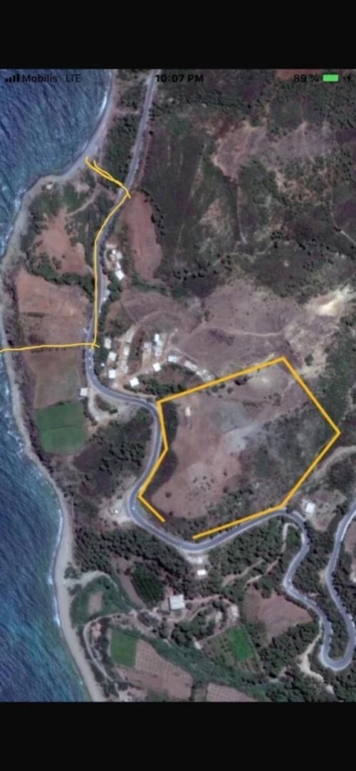 Vente Terrain Chlef Chlef