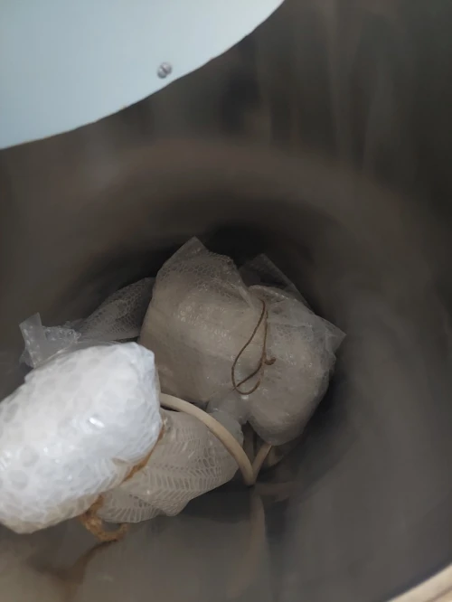 Autoclave vertical