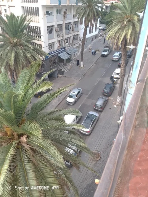 Location Appartement F2 Alger Alger centre