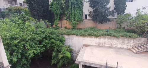 Location Villa Alger Ben aknoun