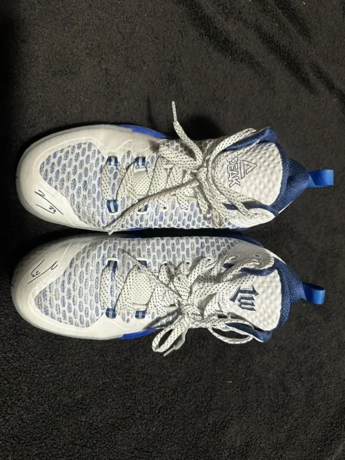 Peak  jordan pointure 42 /       26cm  -