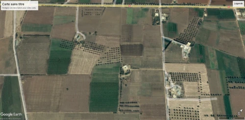 Vente Terrain Agricole Tlemcen Maghnia