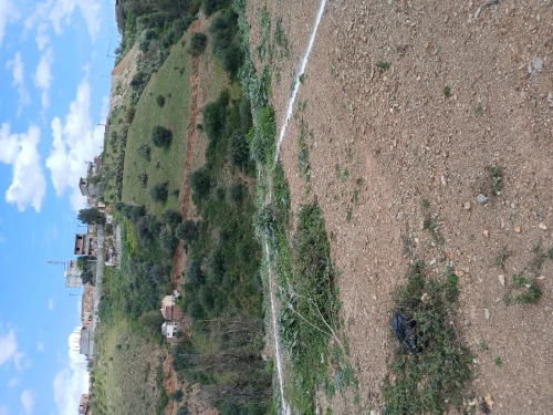 Vente Terrain Boumerdès Tidjelabine