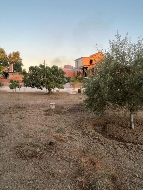 Vente Villa Blida Ben khellil