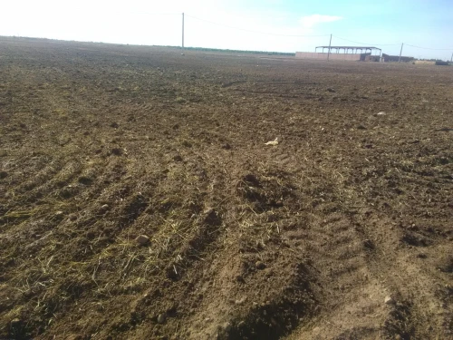 Vente Terrain Agricole Djelfa Bouira lahdab