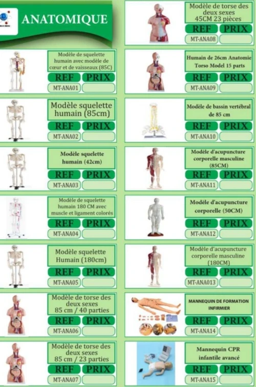 Mannequin et cadre  de formation médicale 