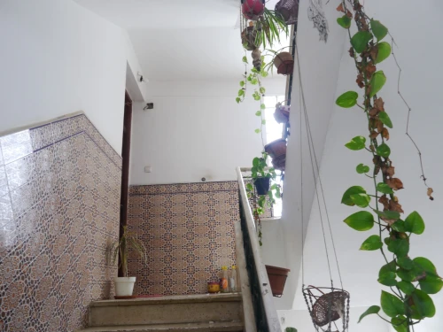 Vente Villa Alger Hydra