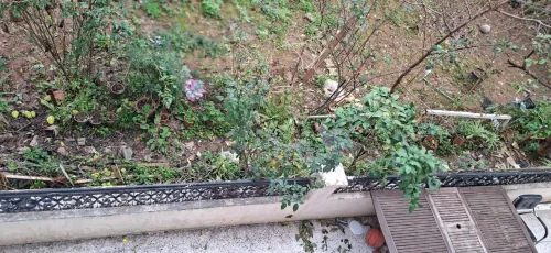 Vente Villa Alger Hydra