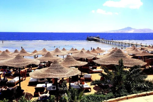 VOYAGE  ORGANISE  COMBINE  :  CAIRE  /  SHARM EL SHEICH a  215.000. DA