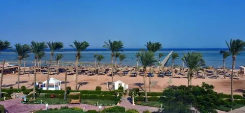 CAIRE  /  SHARM EL SHEIKH  AOUT  2023. PRIX CHOC  