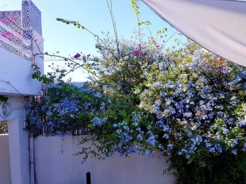 Location vacances Bungalow F4 Skikda Skikda