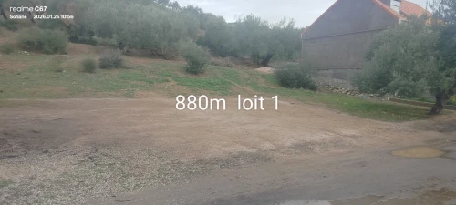Vente Terrain Bouira Chorfa