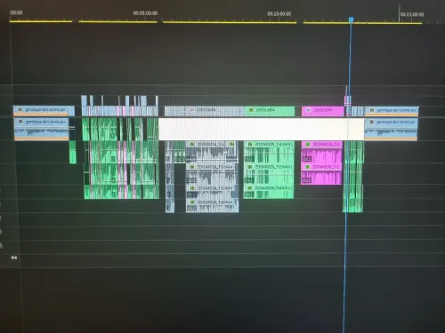 LSD production audiovisuel 