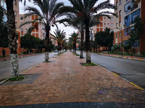 Location Local Alger Reghaia