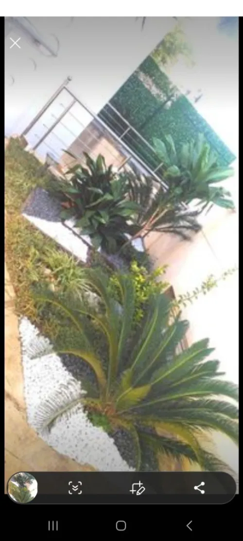  Aménagement Des Espaces Verts, desherbage elagage