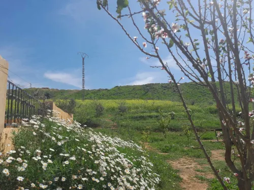 Vente Villa Chlef Labiod medjadja