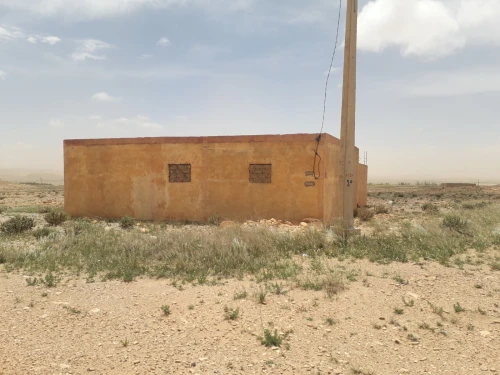 Vente Terrain Agricole Djelfa Ain el ibel