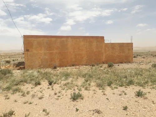 Vente Terrain Agricole Djelfa Ain el ibel