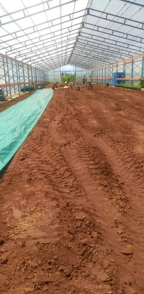  Aménagement Des Espaces Verts, desherbage elagage