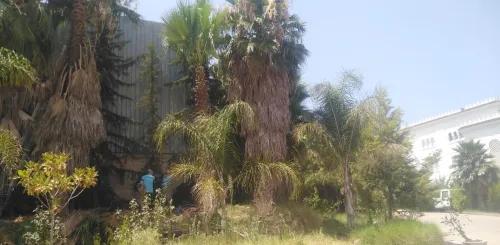  Aménagement Des Espaces Verts, desherbage elagage