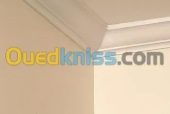 جميع اشغال الجبس وبلاكو بلاطر  
