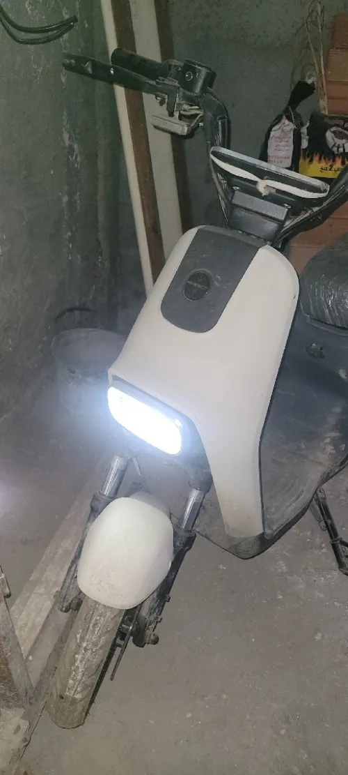 MIMEBOT TTMAX 2025
