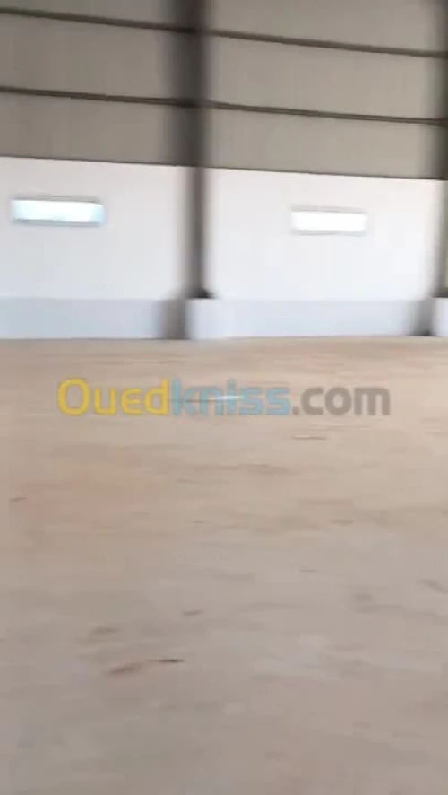 Location Hangar Alger Ouled chebel 6